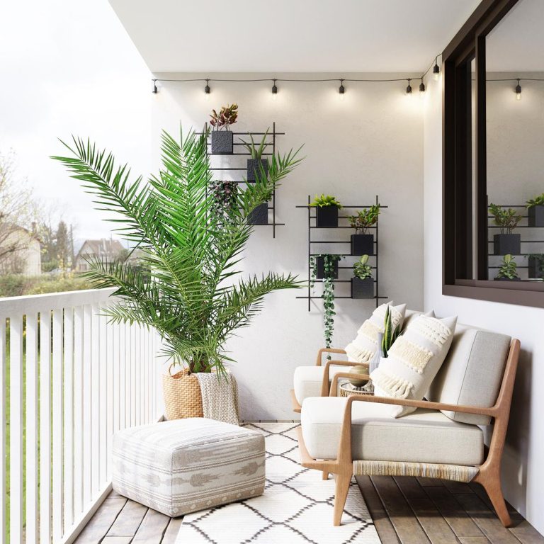 Daktylowiec kanaryjski (Phoenix canariensis) 180cm