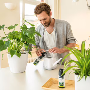 Płynny nawóz do roślin Lechuza Perfect Leaf Fluid 475ml