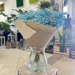 Gipsówka żywa gotowy bukiet niebieski duży