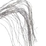 Wierzbowe witki, srebrne