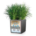 SYSTEM NAWADNIANIA LECHUZA CUBICO 22