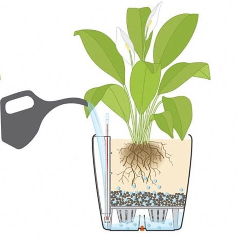 SYSTEM NAWADNIANIA LECHUZA CUBICO 22