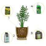 6w1 XXL do PALM JUK I DRACEN - zestaw do przesadzania