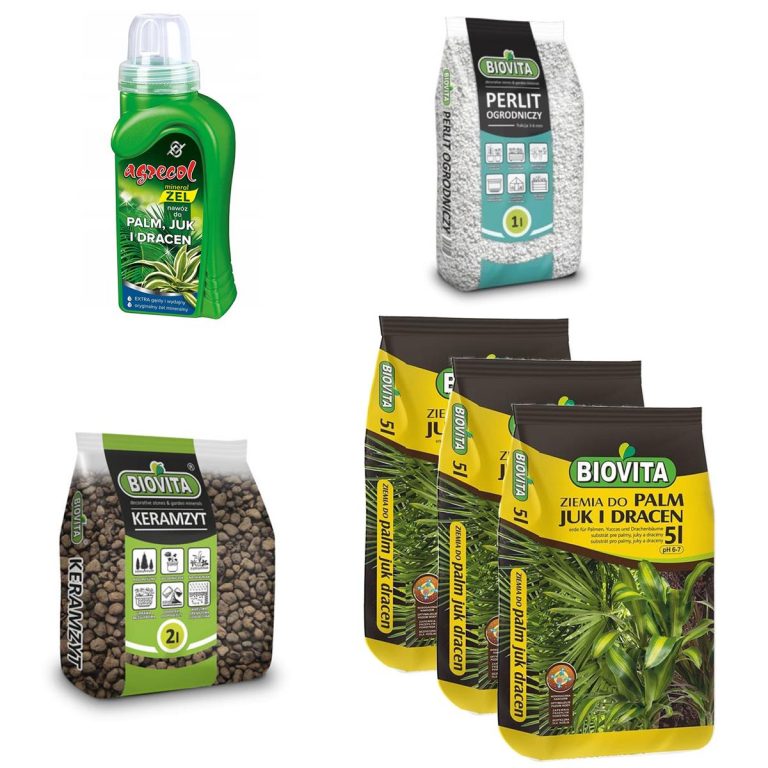 6w1 XXL do PALM JUK I DRACEN - zestaw do przesadzania