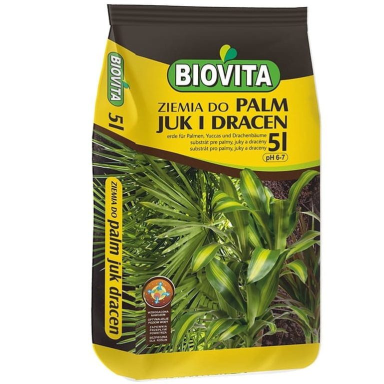 6w1 XXL do PALM JUK I DRACEN - zestaw do przesadzania