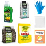 6w1 do CYTRUSÓW -  zestaw do przesadzania