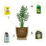 6w1 do CYTRUSÓW -  zestaw do przesadzania