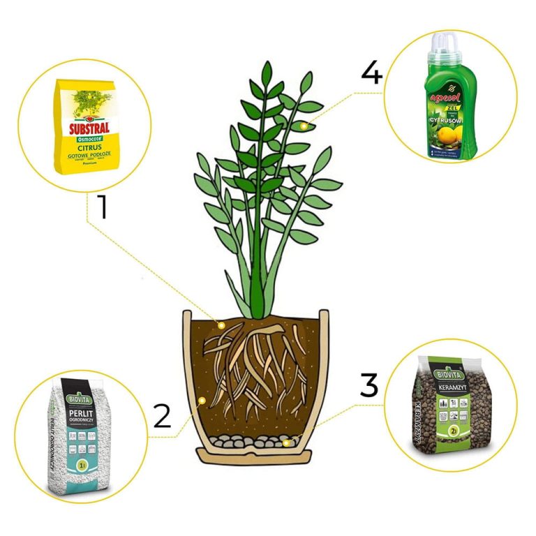6w1 do CYTRUSÓW -  zestaw do przesadzania