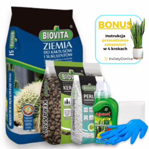 Ziemia do kaktusów i sukulentów - zestaw do przesadzania 6w1