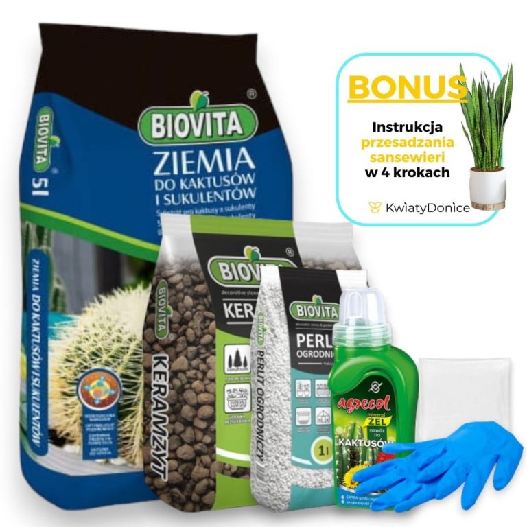 6w1 do KAKTUSÓW I SUKULENTÓW - zestaw do przesadzania