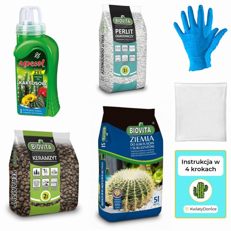 6w1 do KAKTUSÓW I SUKULENTÓW - zestaw do przesadzania