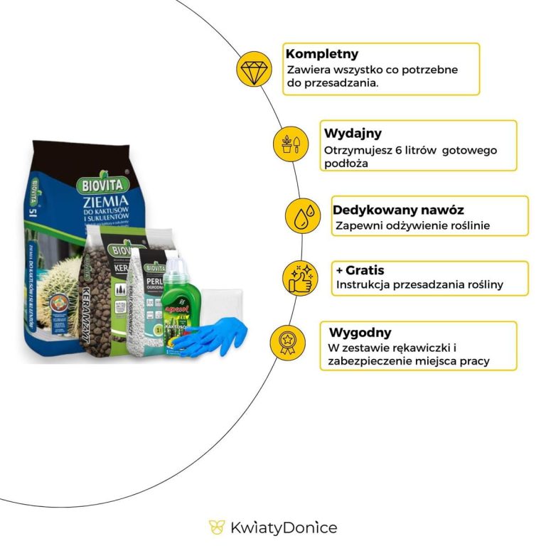 6w1 do KAKTUSÓW I SUKULENTÓW - zestaw do przesadzania