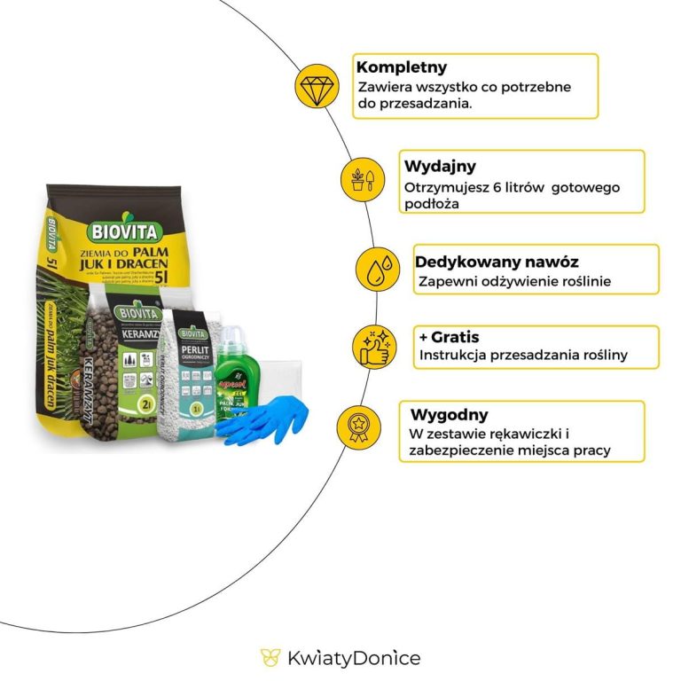 6w1 do PALM JUK I DRACEN - zestaw do przesadzania