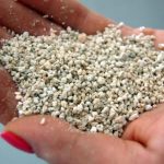 6w1 do PALM JUK I DRACEN - zestaw do przesadzania