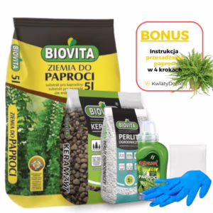 6w1 do  PAPROCI - zestaw do przesadzania