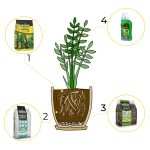 6w1 do  PAPROCI - zestaw do przesadzania