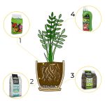 6w1 do ROŚLIN KWITNĄCYCH - zestaw do przesadzania