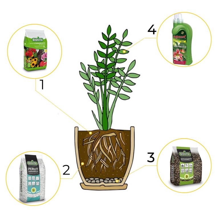 6w1 do ROŚLIN KWITNĄCYCH - zestaw do przesadzania