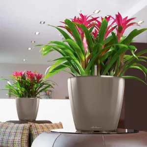 Doniczka plastikowa Lechuza Classico LS Taupe