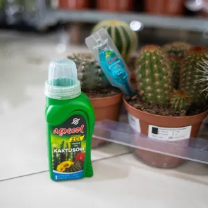 BIOVITA Ziemia do kaktusów i sukulentów 5L