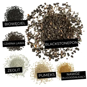 Podłoże do roślin czarne LECHUZA BLACKSTONE PON