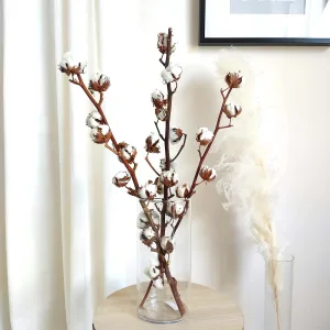 Bawełna - Gałązka bawełny suszonej