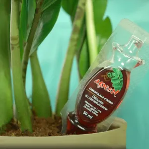 ZAMIOKULKAS STRONG odżywka nawóz do zamiokulkasów 30ml ampułka