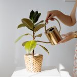 Biohumus nawóz uniwersalny 0,5L