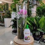 Biohumus nawóz do storczyków 1L