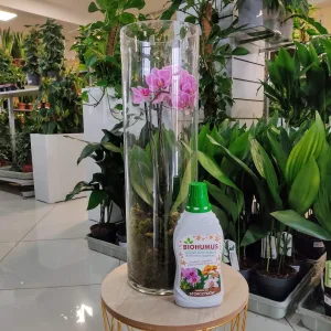 Biohumus nawóz do storczyków 1L