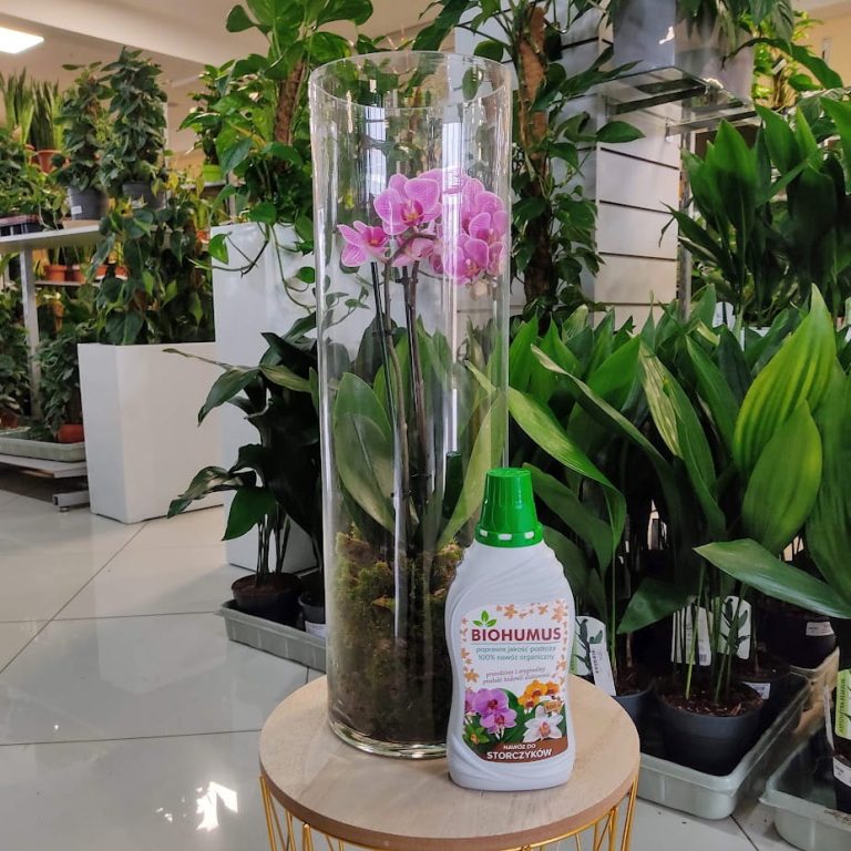 Biohumus nawóz do storczyków 1L