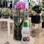 Biohumus nawóz do storczyków 1L