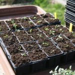 Ziemia do wysiewu z włóknem kokosowym 5L