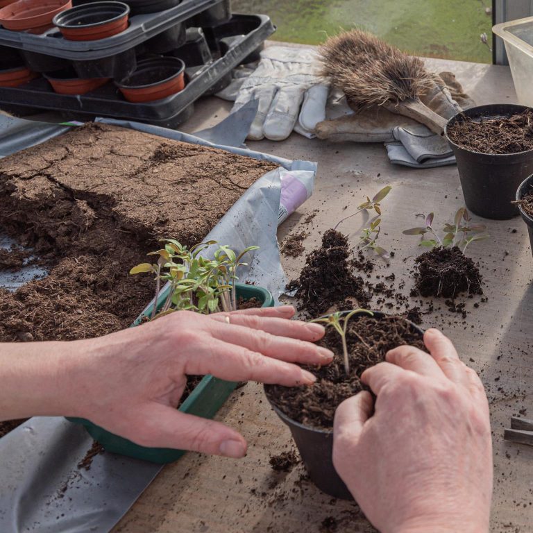 Ziemia do wysiewu z włóknem kokosowym 20L