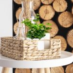 Bluszcz pospolity (Hedera helix 'Wonder') 15cm