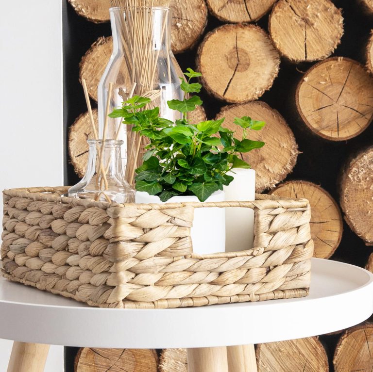 Bluszcz pospolity (Hedera helix 'Wonder') 15cm