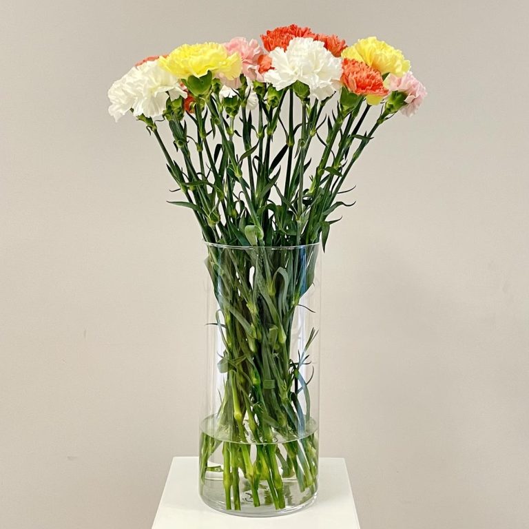 Bukiet kwiatów ciętych - kolorowe goździki