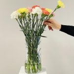 Bukiet kwiatów ciętych - kolorowe goździki