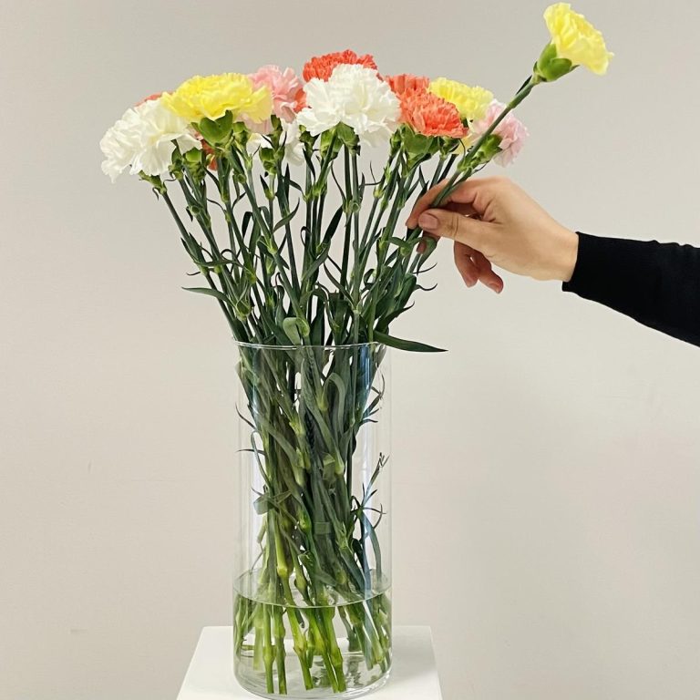 Bukiet kwiatów ciętych - kolorowe goździki