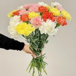 Bukiet kwiatów ciętych - kolorowe goździki