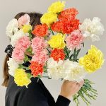 Bukiet kwiatów ciętych - kolorowe goździki