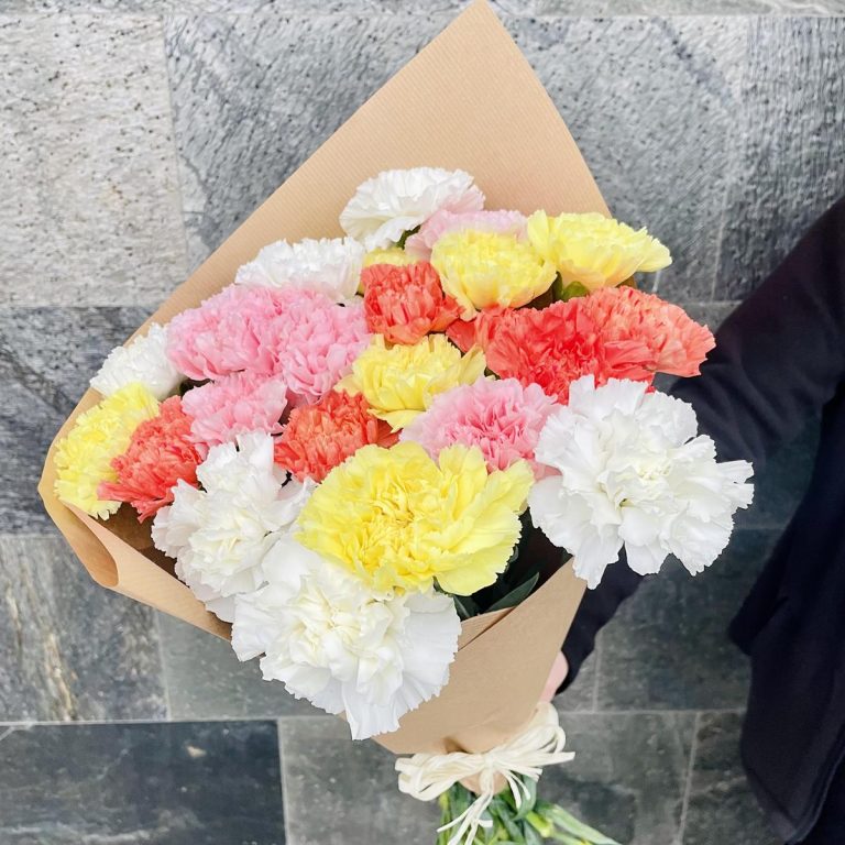 Bukiet kwiatów ciętych - kolorowe goździki