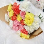 Bukiet kwiatów ciętych - kolorowe goździki