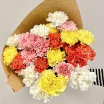 Bukiet kwiatów ciętych - kolorowe goździki