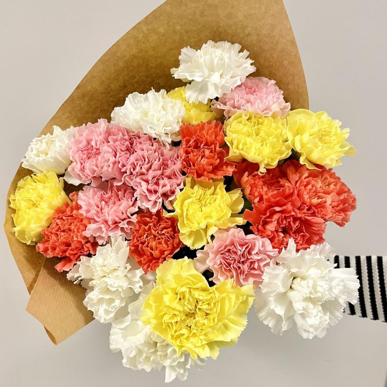 Bukiet kwiatów ciętych - kolorowe goździki