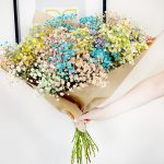 Gipsówka żywa gotowy bukiet kolorowy duży