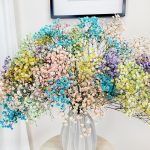 Gipsówka żywa gotowy bukiet kolorowy duży