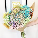 Gipsówka żywa gotowy bukiet kolorowy duży