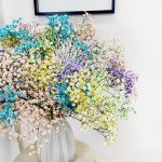 Gipsówka żywa gotowy bukiet kolorowy duży