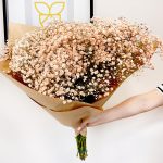 Gipsówka żywa gotowy bukiet pomarańczowy duży